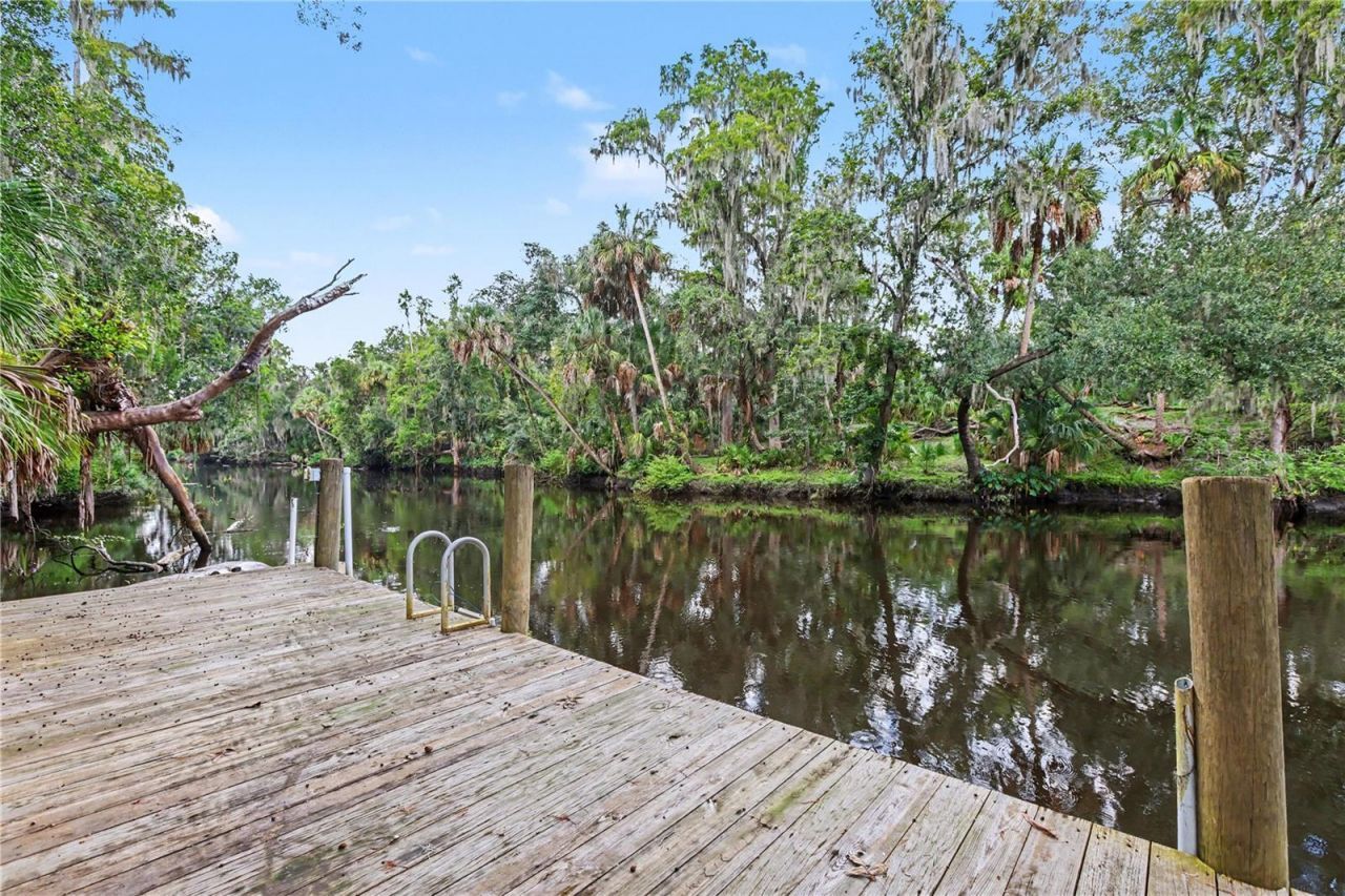 8224 Revels Road, Riverview, FL 33569 Photo