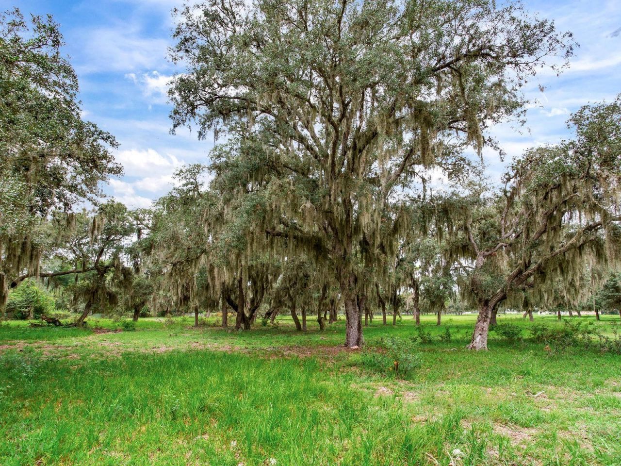 Lake Buffum Road N, Fort Meade, FL 33841 Photo