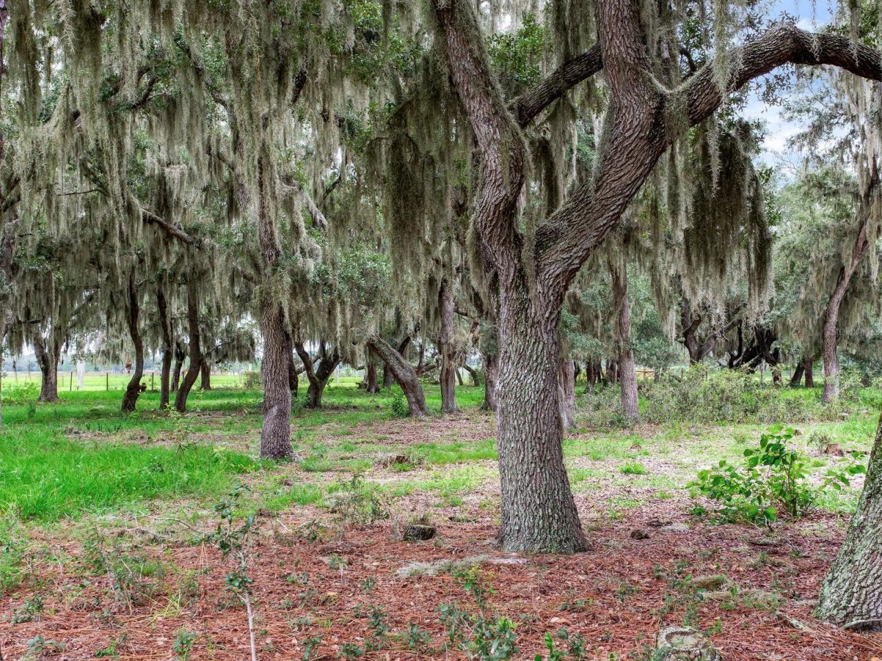 Lake Buffum Road N, Fort Meade, FL 33841 Photo