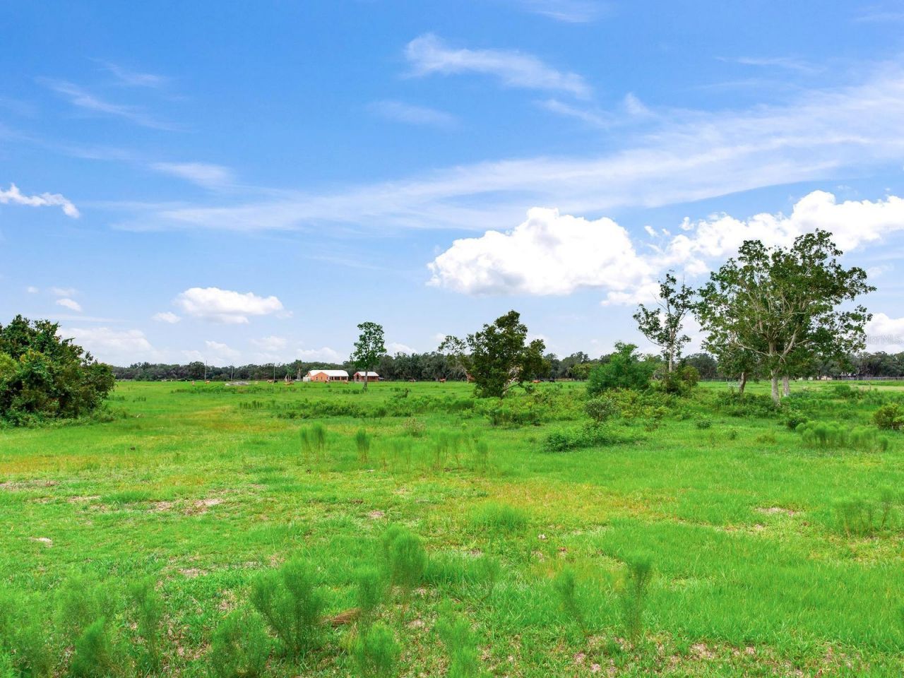 Lake Buffum Road N, Fort Meade, FL 33841 Photo