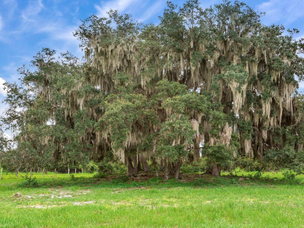 Lake Buffum Road N, Fort Meade, FL 33841 Photo