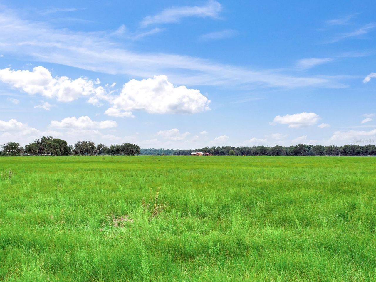 Lake Buffum Road N, Fort Meade, FL 33841 Photo