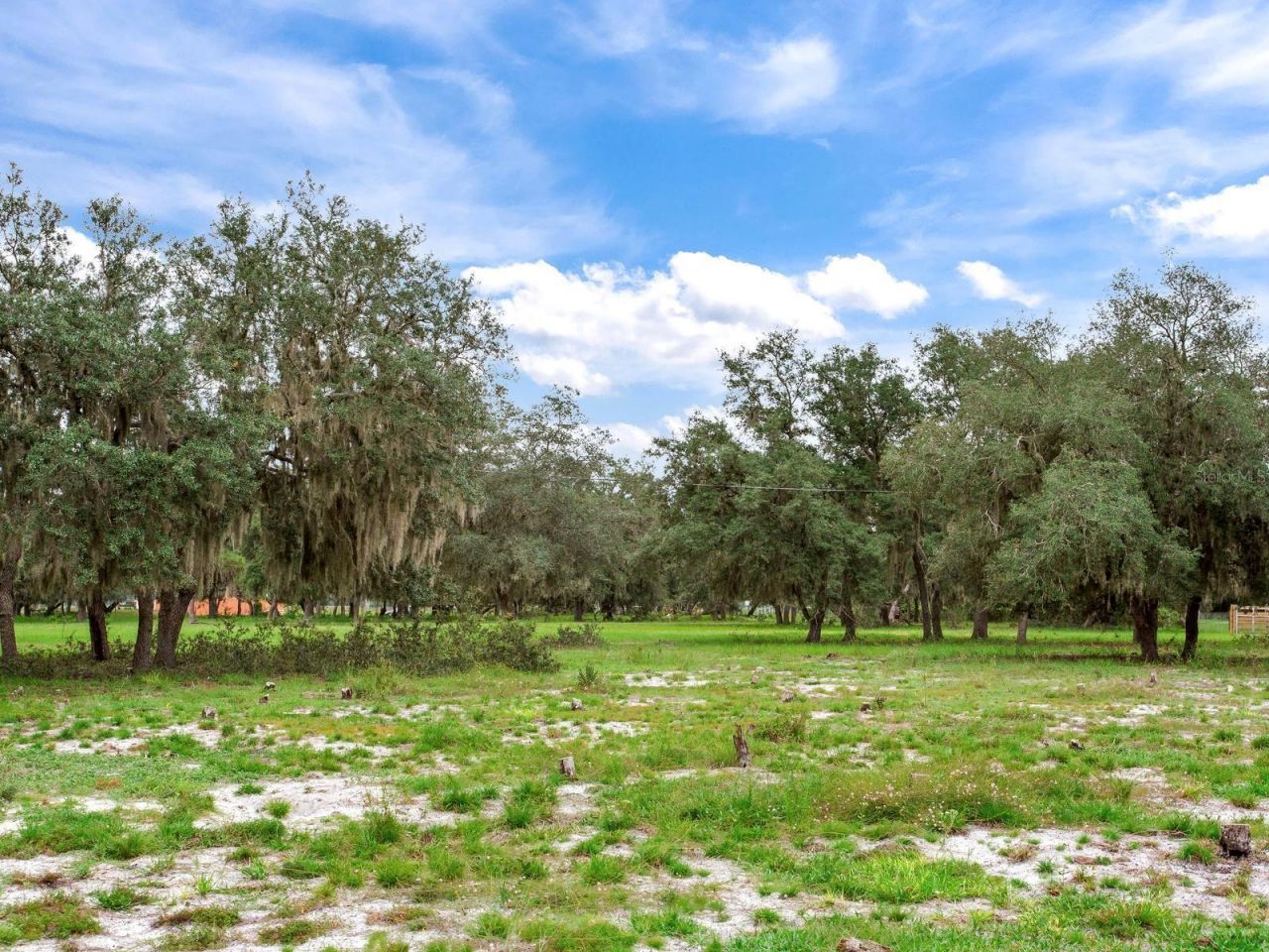 Lake Buffum Road N, Fort Meade, FL 33841 Photo