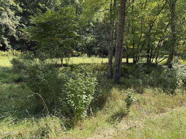 Lot 4 Greggs Branch Rd., Butler, TN 37640
