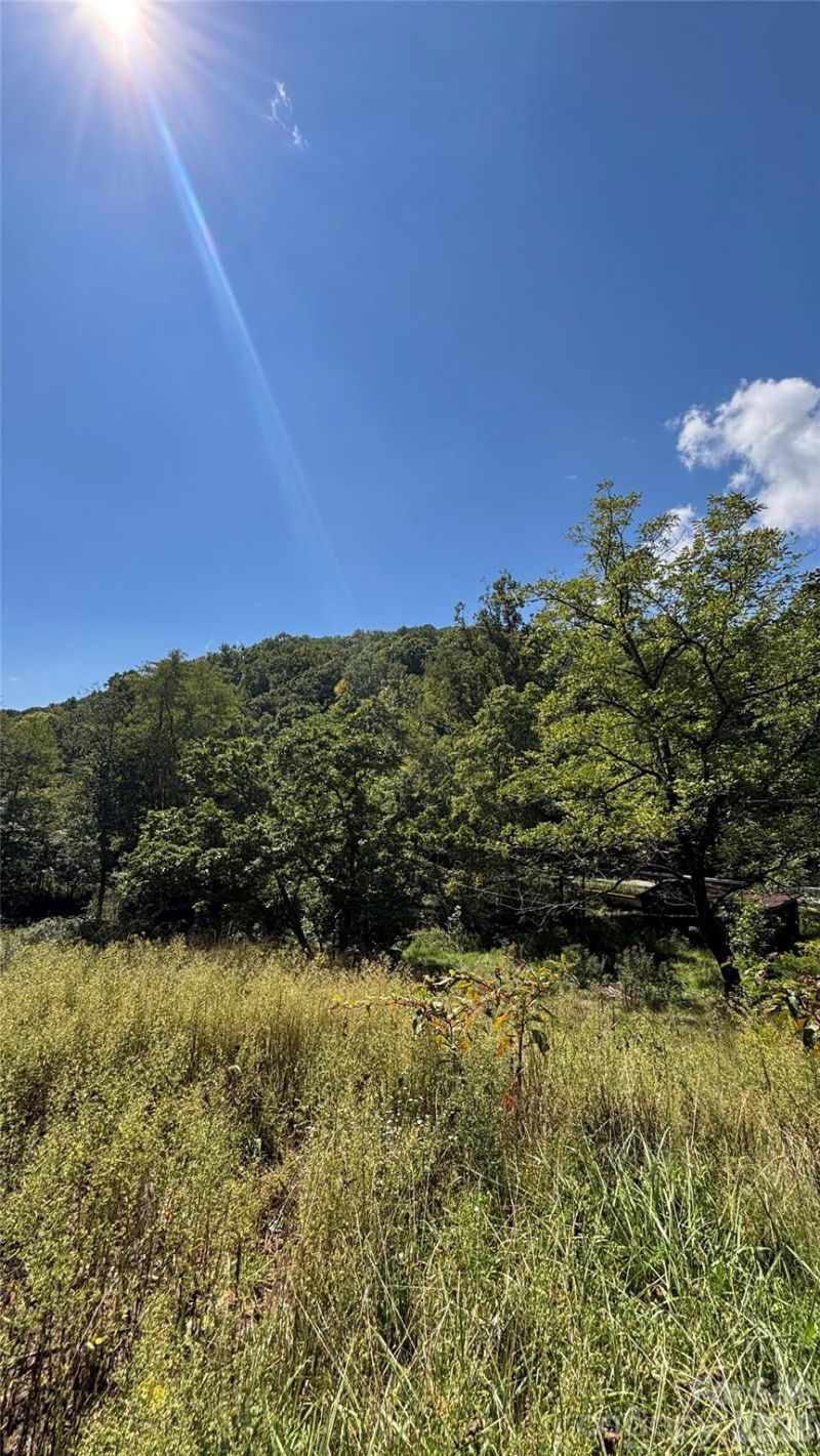 188 Velvis Hollifield Road, Spruce Pine, NC 28777 Main Photo