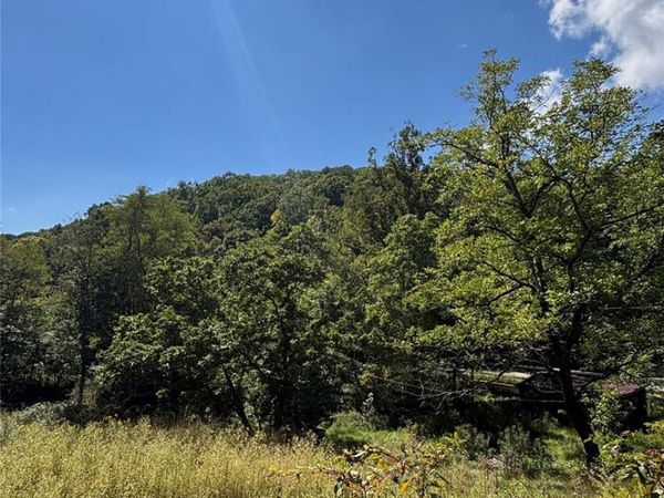 188 Velvis Hollifield Road, Spruce Pine, NC 28777