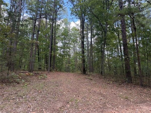 Tract 2 Oakland Road , St Joe, AR 72675