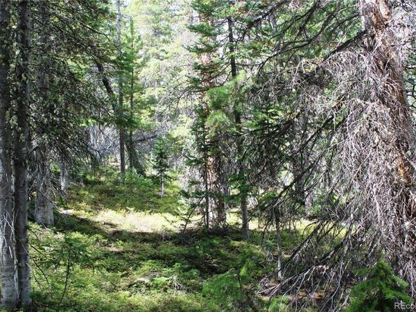 17577 Jackson , Black Hawk, CO 80422