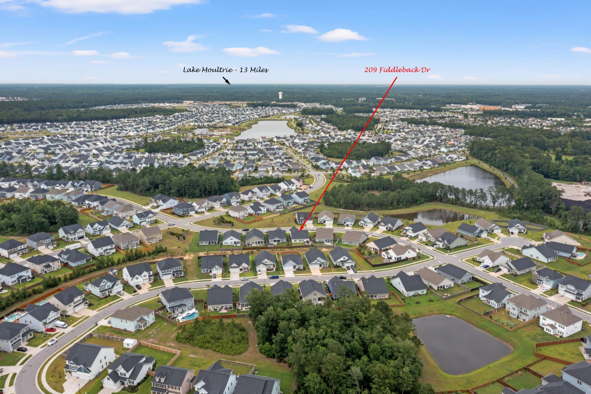 209 Fiddleback Drive Photo 65