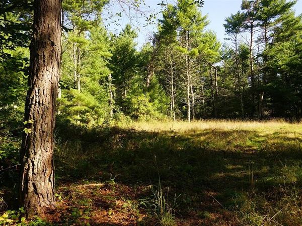 N9105 Flood -- Lot 5 Road, Black River Falls, WI 54615