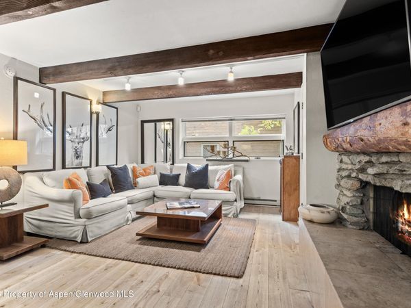 914 Waters Avenue, Unit 19, Aspen, CO 81611