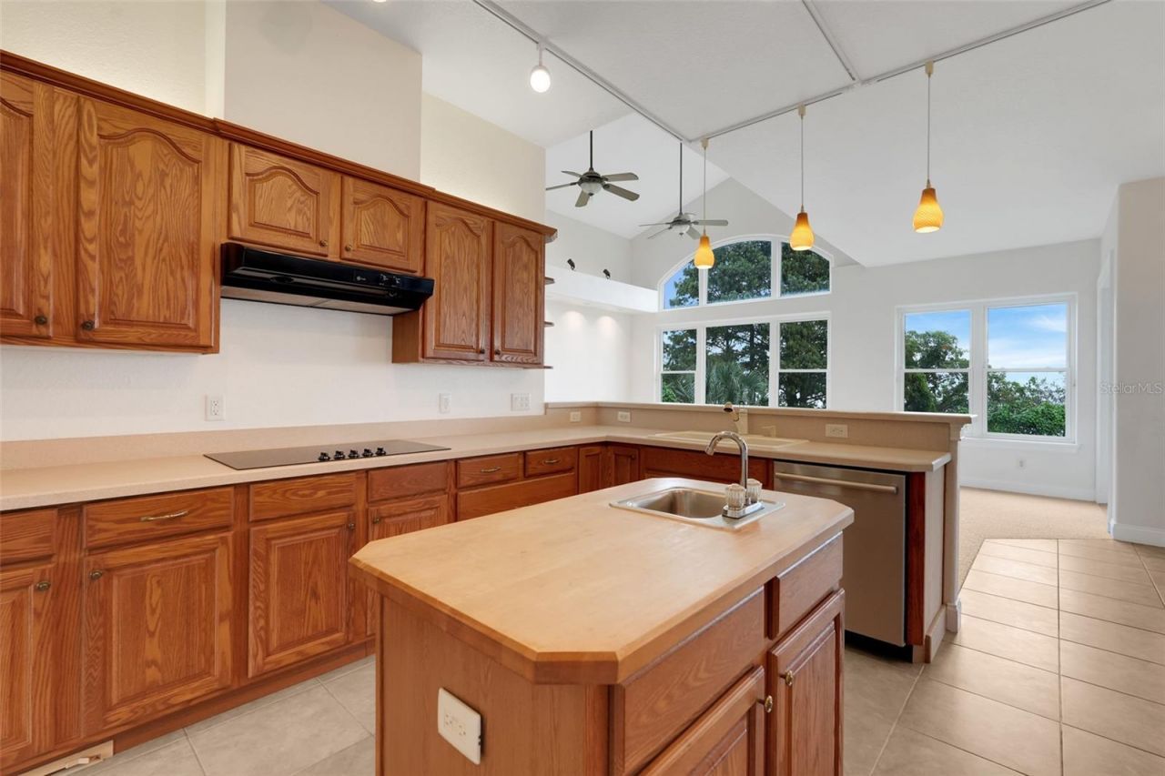 81 Millholland Street, Oakland, FL 34760 Photo
