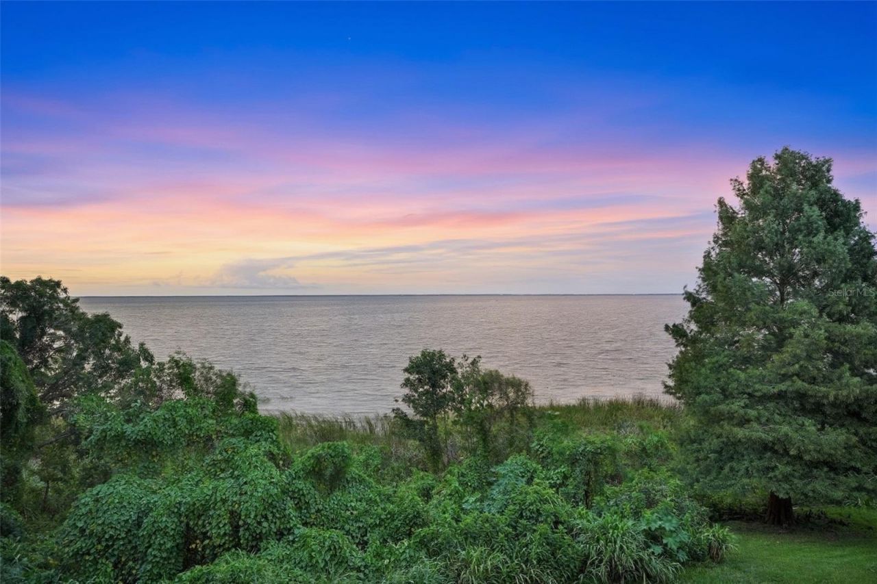 81 Millholland Street, Oakland, FL 34760 Photo