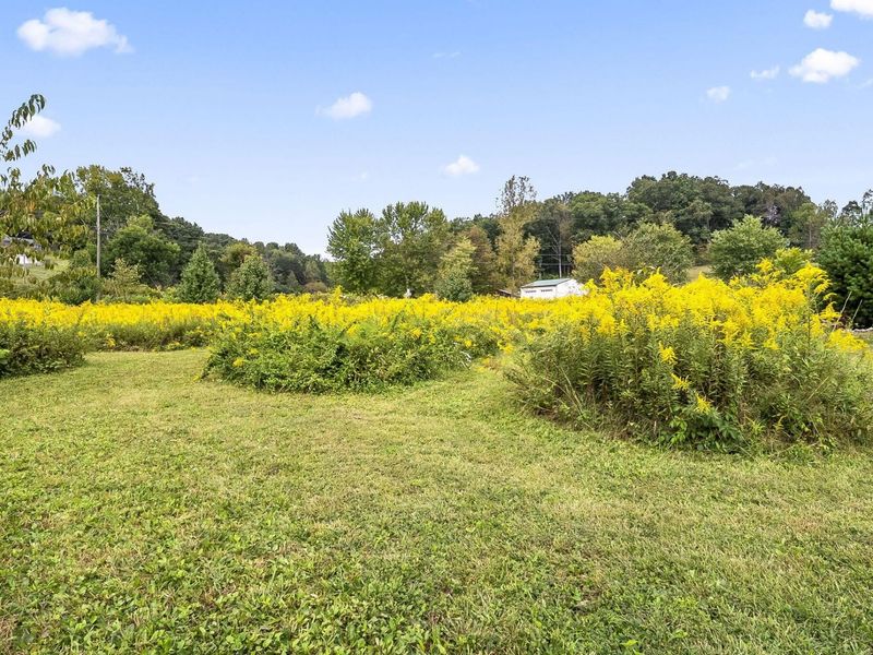 0 Dutch Run Road , Beaver, OH 45613 Photo 3