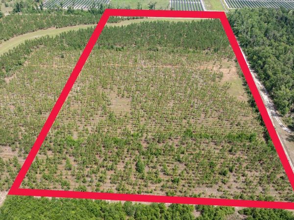TBD 199TH PL (EAST SIDE), Live Oak, FL 32060