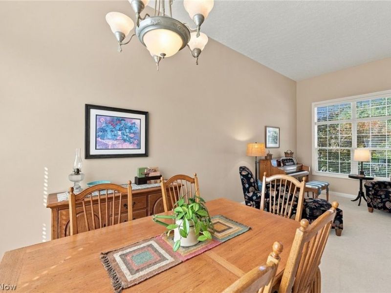 10262 Wildflower Way, Broadview Heights, OH 44147 Photo 7