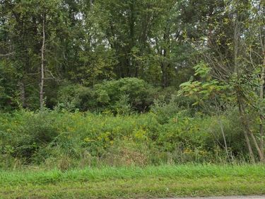 V/L Shay Lake Rd, Dayton Township, Mi 48219