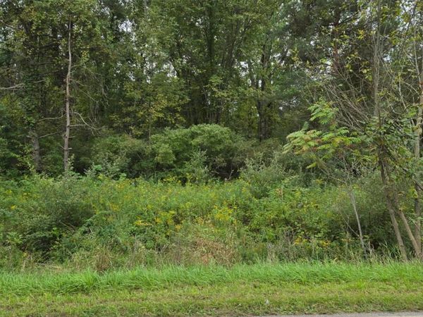 V/L Shay Lake Rd , Dayton Township, Mi 48219