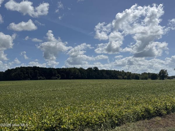 Near 257 A M Godwin Road, Clarendon, NC 28432