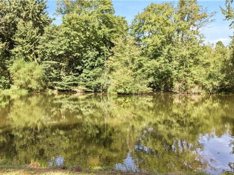 12425 Whitman Road, Doylestown, OH 44230 Photo 9