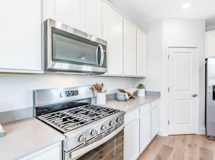 1886 Bella Rosa Alley, Minden, NV 89423 Photo