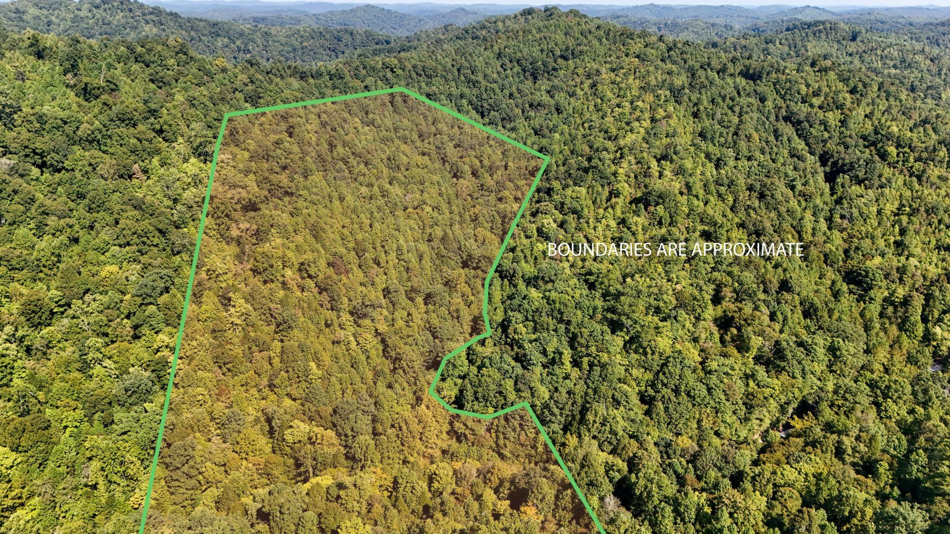 1737 Laurel Branch Road, Walker, KY 40997 Main Photo