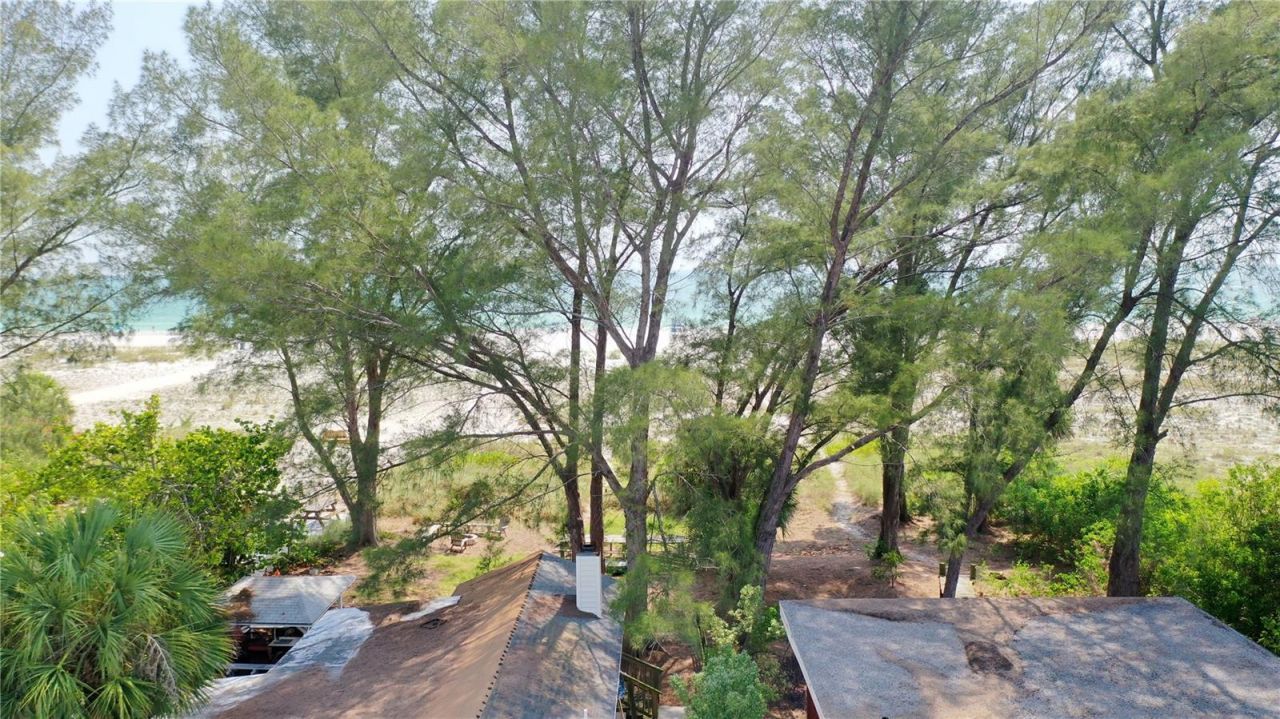 10218 Gulf Boulevard, Treasure Island, FL 33706 Photo