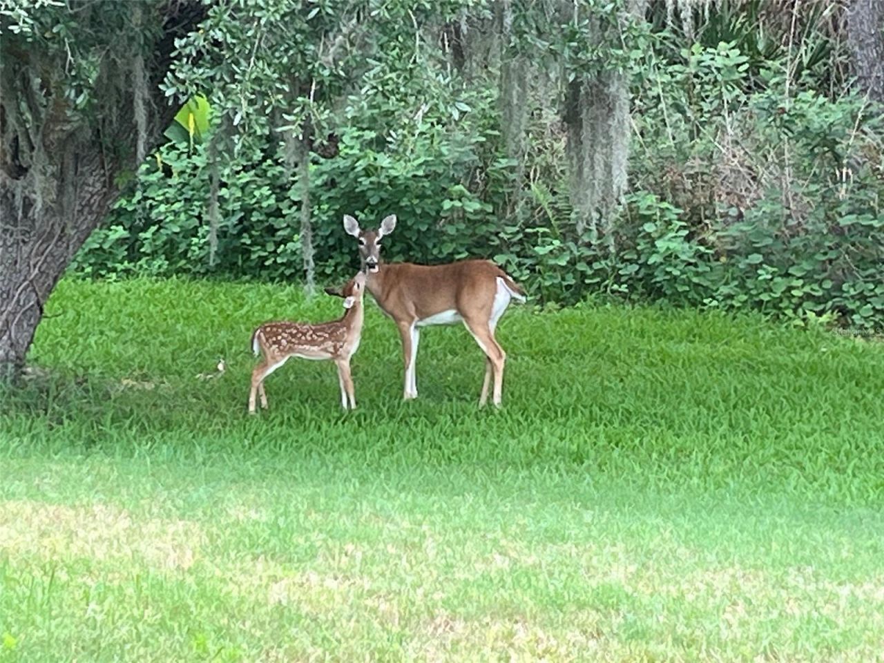 825 Himalayan Run, Bradenton, FL 34212 Photo