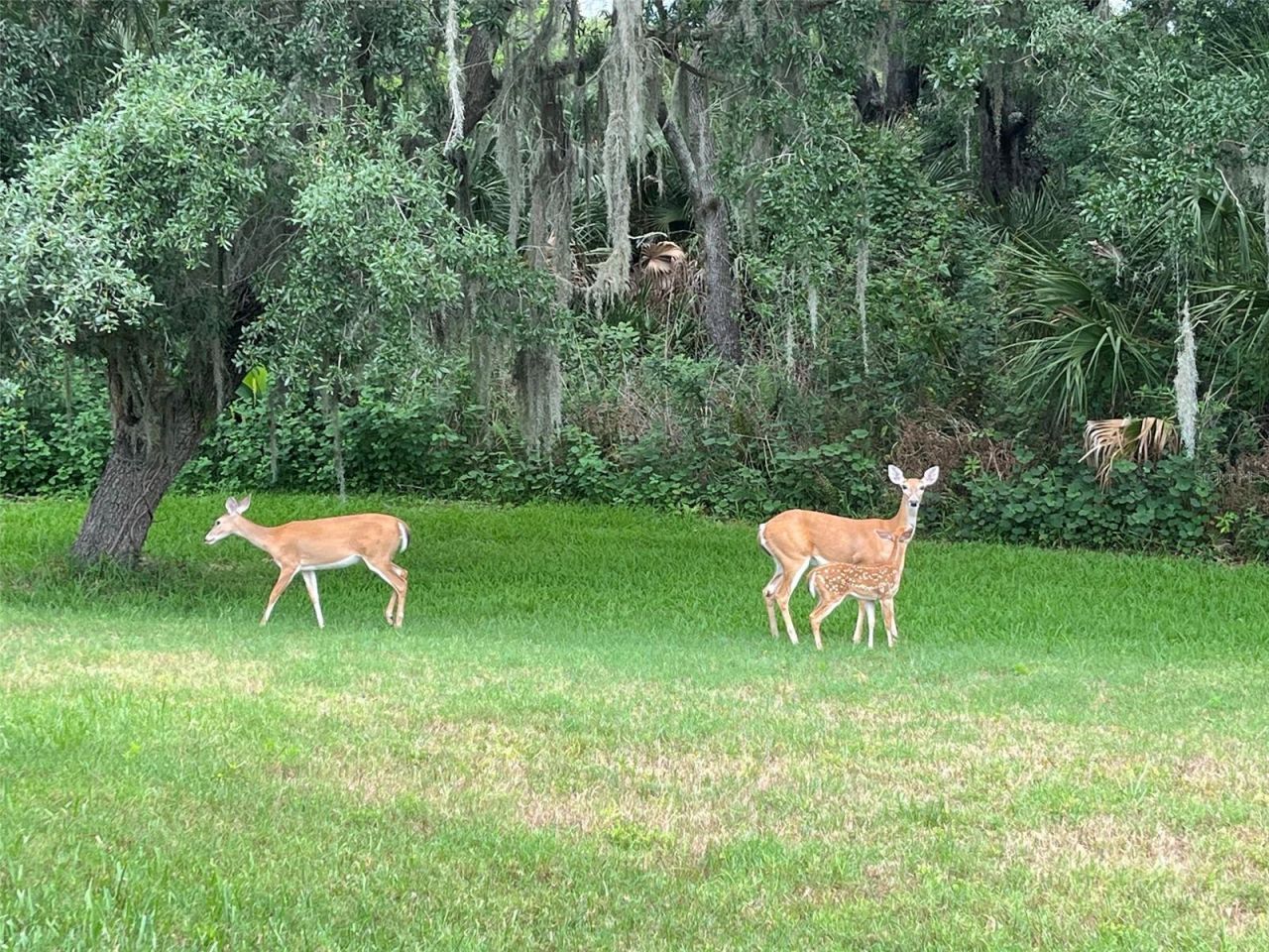 825 Himalayan Run, Bradenton, FL 34212 Photo