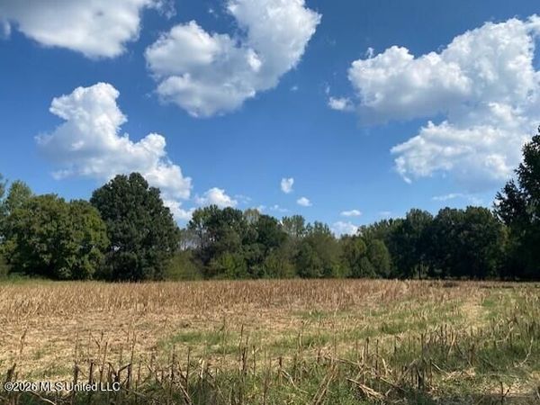 2770 Mississippi 305, Coldwater, MS 38618