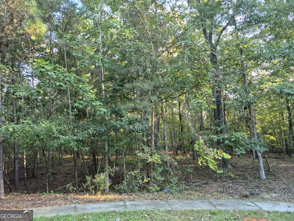 3407 Venice Court, Douglasville, GA 30135