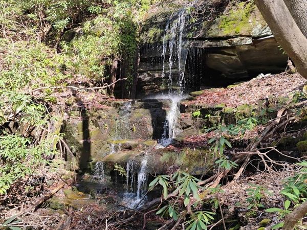 000 Peppervine Circle , Rosman, NC 28772