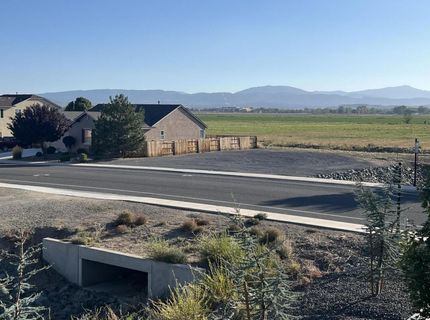 302 Cattail Circle, Gardnerville, NV 89410 Photo