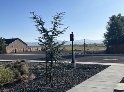 302 Cattail Circle, Gardnerville, NV 89410 Photo