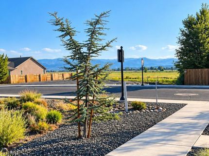 302 Cattail Circle, Gardnerville, NV 89410 Photo