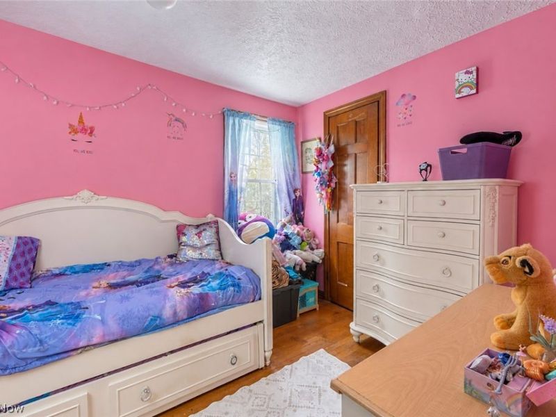 7186 S Ridge Road, Madison, OH 44057 Photo 21