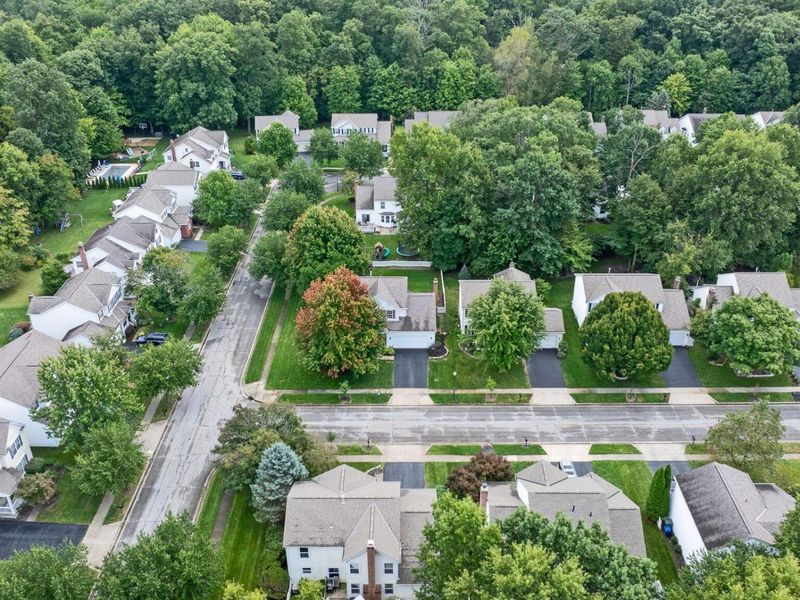 4506 Fabel Street, New Albany, OH 43054 Photo 43