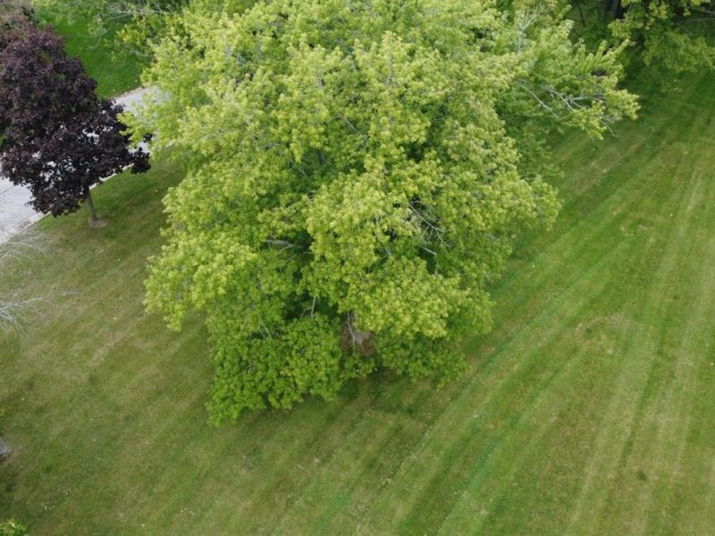 1 Turfside, Huron, OH 44839 Photo 8