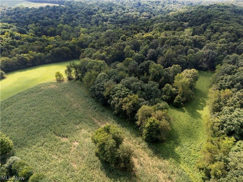 14384 CR 75, Brinkhaven, OH 43006 Photo 13