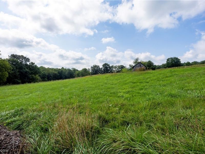 14384 CR 75, Brinkhaven, OH 43006 Photo 5