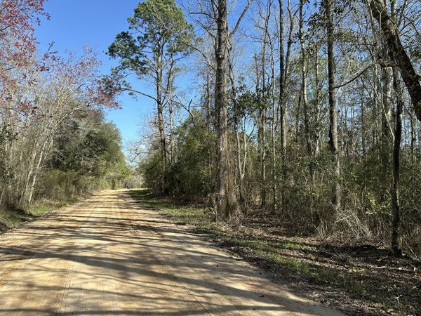 Tract#6317 S Harris Stevenson Road, Bonifay, FL 32425