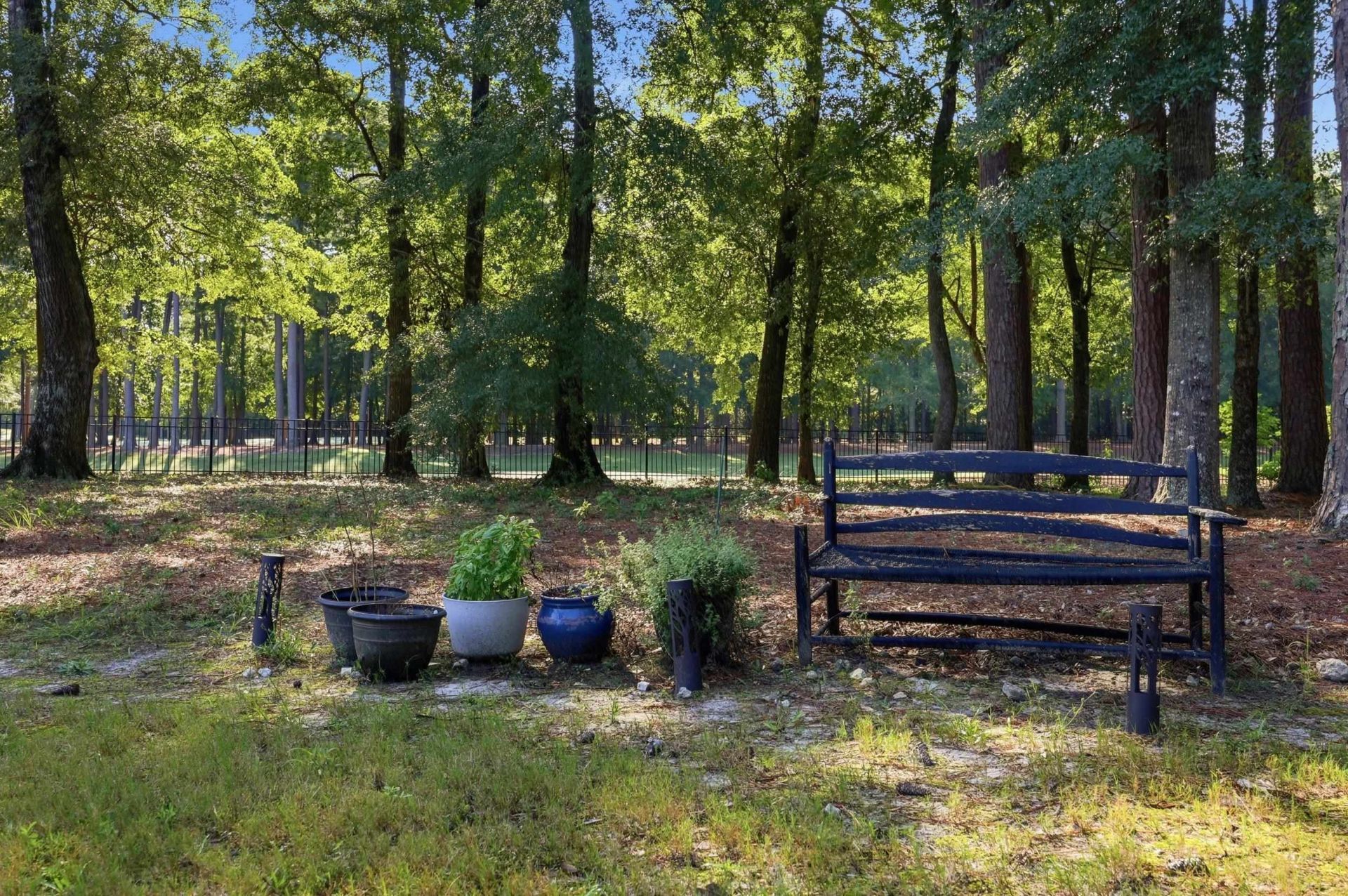 181 Champions Village Dr.  Photo 38