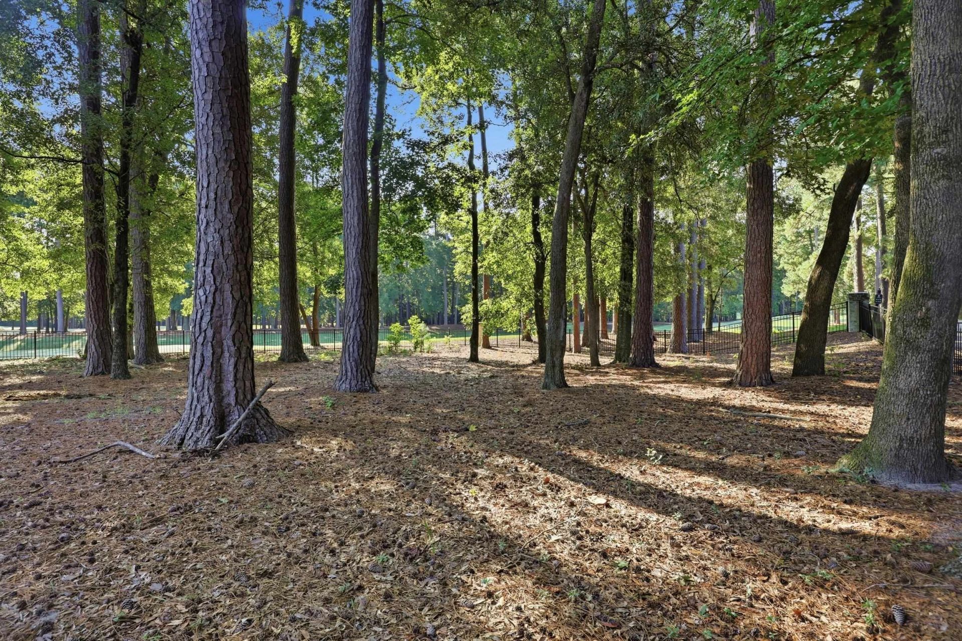 181 Champions Village Dr.  Photo 39