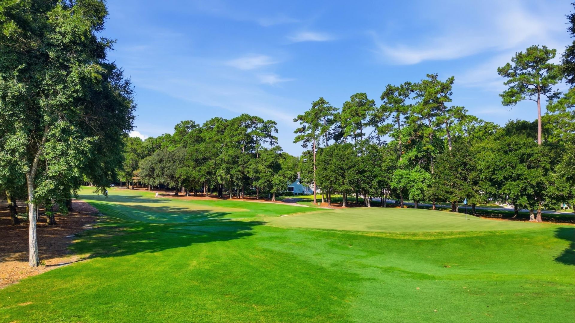 181 Champions Village Dr.  Photo 45