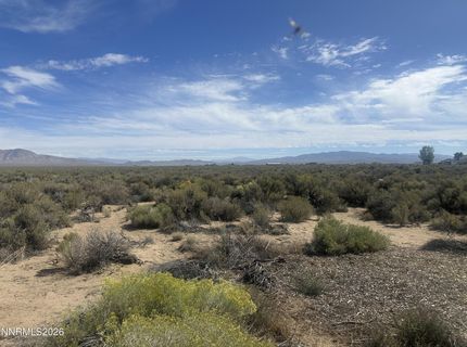 48 Burke Drive, Wellington, NV 89444 Photo