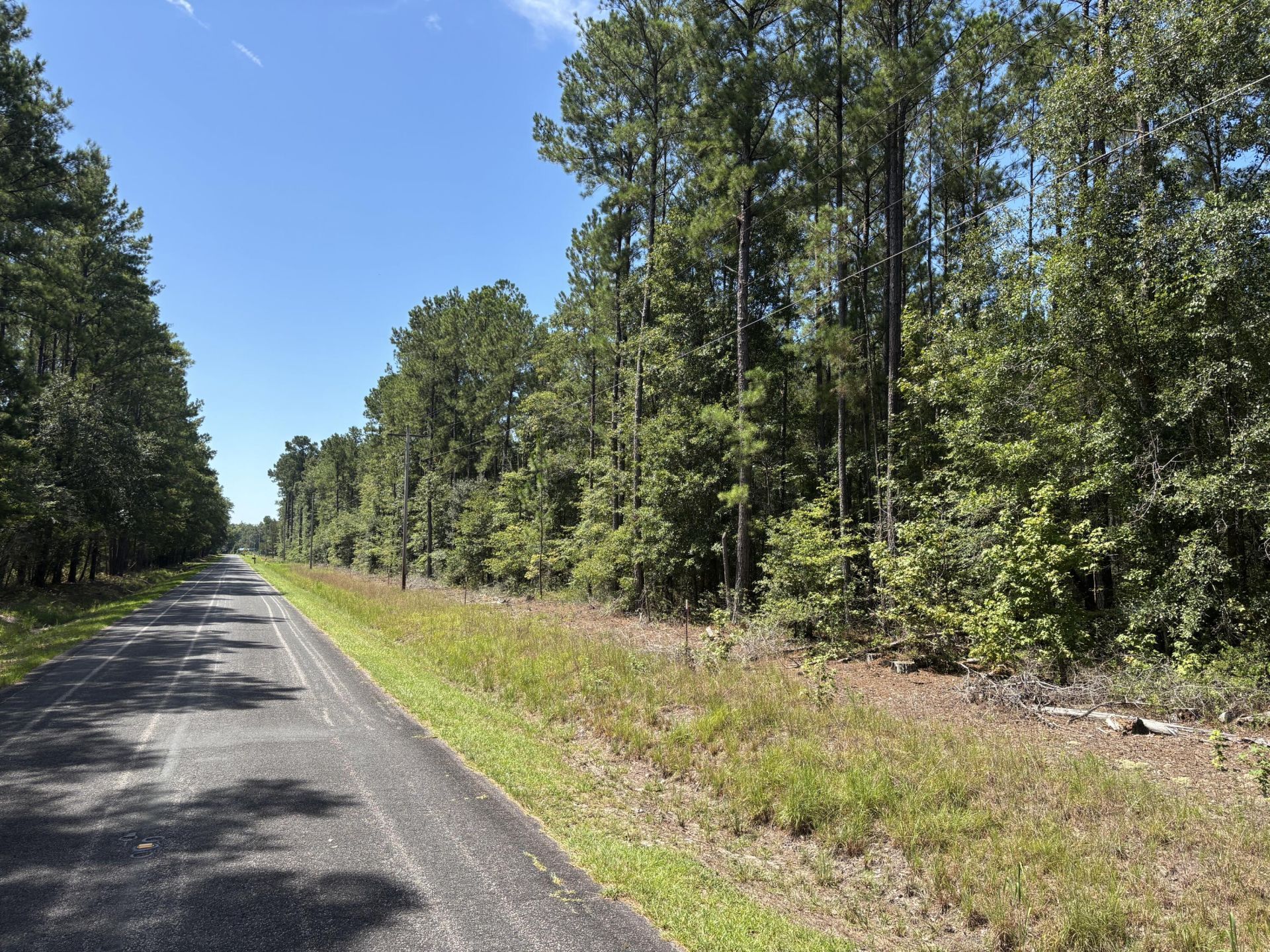 Tbd Red Oak Road Photo 5