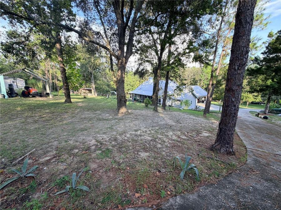 Property Image 71