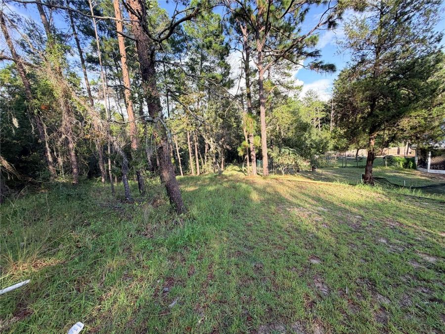 Property Image 76