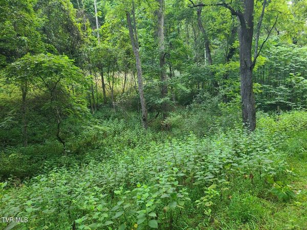 5 Fingers/Forks Ln, Fort Blackmore, VA 24250