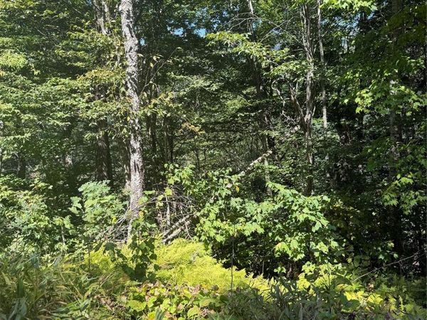 110 Chestnut Lane , Mars Hill, NC 28754